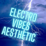 Electro Vibes Aesthetic