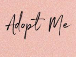 Adopt Me’s Best Traders!