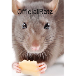 OfficialRat