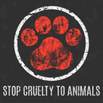 Stop Cruelty to Animal