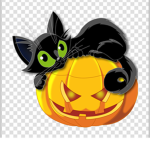 Froggy cat