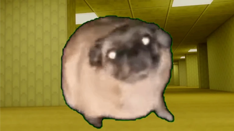 Dancing Pug Meme Backrooms