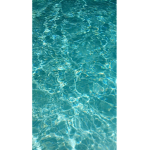Robloxity Swimming Team