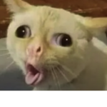 hiiiiiiii :o
