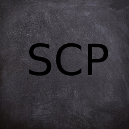 Scpf official training