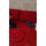 Genie studio