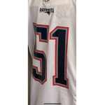 Patriots INT