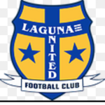 Bee football league