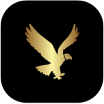 Hawk's Eye