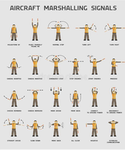The aviation guy