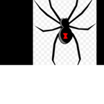 DEADLY SPIDER ARMY
