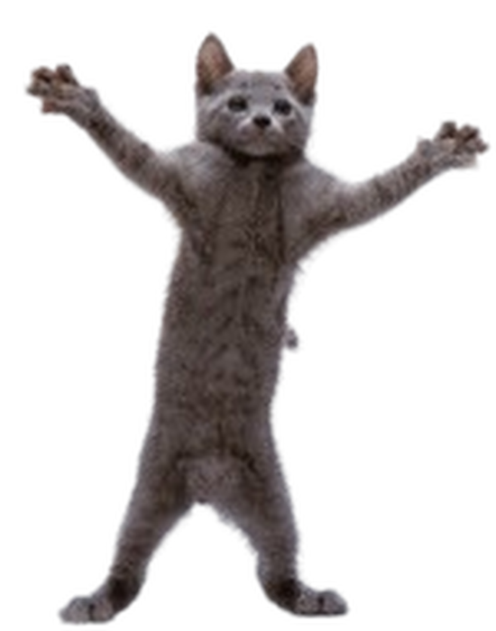 Funni Cato Buddy  preview 3