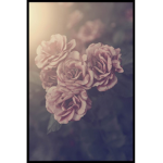 LovelyFlorals