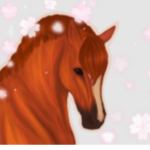 ʚ • Equine Stars! • ʚ