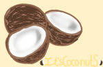 ItsCoconutClan