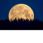 The moons :)