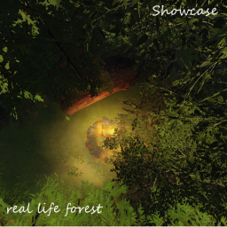 real life forest *Showcase*