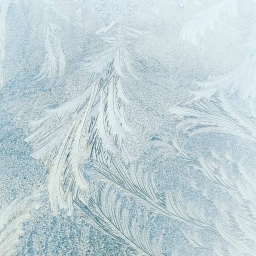 —̳͟͞͞ ❄ +