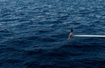 - oceanic clothing -