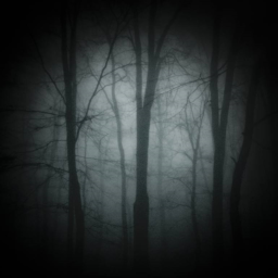 The forest?