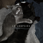 Le Loopsies