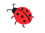 ROSY THE LADYBUG