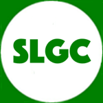 Super Luigi Gaming Channel Fan Group!
