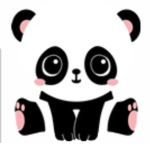 cevdetcinar12 panda