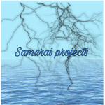 Sins project