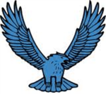 Falcon Skull Empire