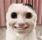 ɢᴀᴍᴇʀ ᴋɪᴛᴛᴇɴs