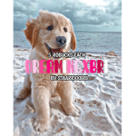 DreamingxBri