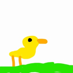 Duck RP