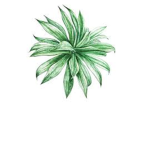 Gathering of Plants