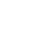 Paradigm Interactive