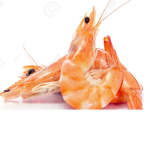 Alvis shrimp gang