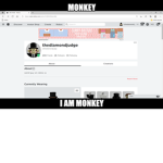 Monkey in a suit and tie