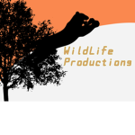 Wildlife Productions