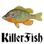 kiIIer fish