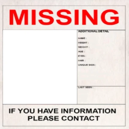 missing poster