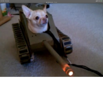 {(Dogs United)}