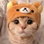 tombl_kedi14 Group Thumbnail
