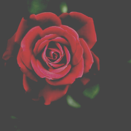 𝐀