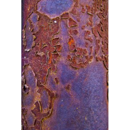 Purple Rust