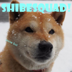 Shibesquad