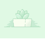 A mint leaf