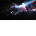 Space pugs are cool
