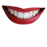 TEETH TEETH TEETH TEETH TEETH TEETH TEETH TEETH