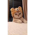 Eeatbananas