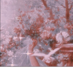 qt snipers
